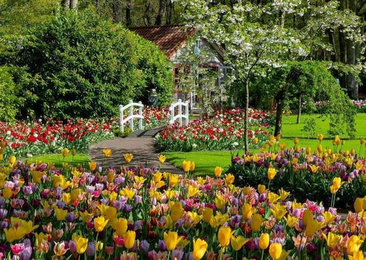 Ravensburger - Beautiful Gardens - Netherlands - 1000 Piece Jigsaw Puzzle