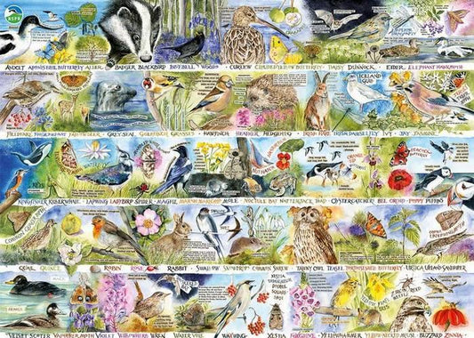 Gibsons - RSPB - Birdsong & Bluebells - 1000 Piece Jigsaw Puzzle