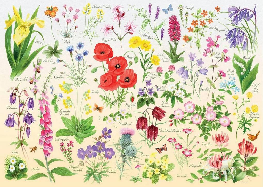 House of Puzzles - Wildflowers - 1000 Piece Jigsaw Puzzle