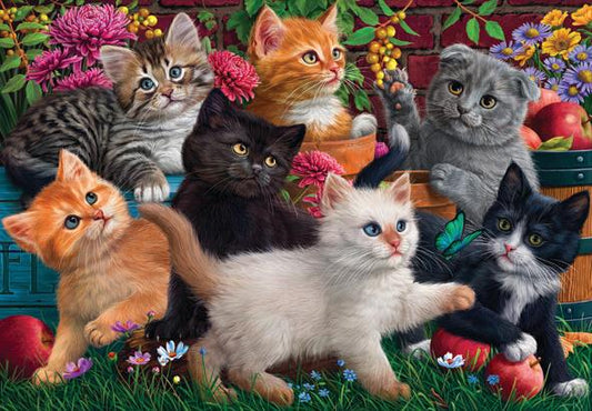 Anatolian - Kittens at Play - 260 Piece Jigsaw Puzzle