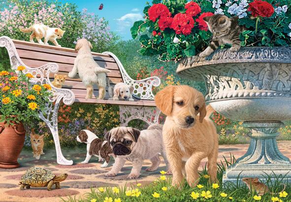 Anatolian - Pets Hide and Seek - 260 Piece Jigsaw Puzzle