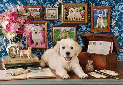 Anatolian - Labrador - 500 Piece Jigsaw Puzzle